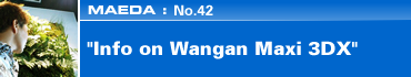 TAKAHASHI: No.42 "Info on Wangan Maxi 3DX"